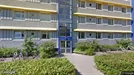 Lejlighed til leje, Ringsted, &lt;span class=&quot;blurred street&quot; onclick=&quot;ProcessAdRequest(1274956)&quot;&gt;&lt;span class=&quot;hint&quot;&gt;Se vej-navn&lt;/span&gt;[xxxxxxxxxx]&lt;/span&gt;