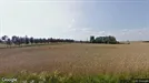 Lejlighed til leje, Hovedgård, Ballebovej<span class="blurred street-number" onclick="ProcessAdRequest(1350994)"><span class="hint">Se vejnr.</span>[xxxxxxxx]</span>