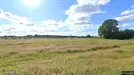 Lejlighed til leje, Lunderskov, Hvedevang