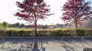 Lejlighed til leje, Smørum, Søagerhusene<span class="blurred street-number" onclick="ProcessAdRequest(1367816)"><span class="hint">Se vej-nummer</span>[xxxxxxxxxxxx]</span>