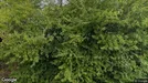 Lejlighed til leje, Tune, Ærtestensvej<span class="blurred street-number" onclick="ProcessAdRequest(1371706)"><span class="hint">Se vejnr.</span>[xxxxxxxx]</span>