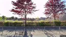 Lejlighed til leje, Smørum, Søagerhusene<span class="blurred street-number" onclick="ProcessAdRequest(1376046)"><span class="hint">Se vejnr.</span>[xxxxxxxx]</span>