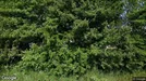 Lejlighed til leje, Klarup, Klarup Søpark<span class="blurred street-number" onclick="ProcessAdRequest(1378598)"><span class="hint">Se vejnr.</span>[xxxxxxxx]</span>