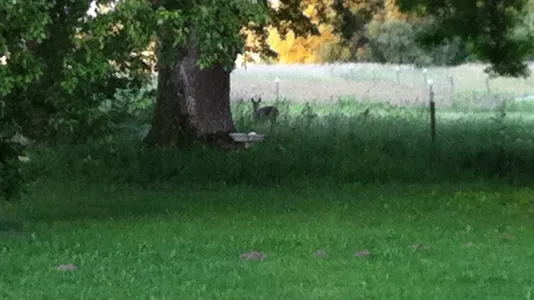 Lejligheder i Gislinge - billede 13