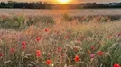 Hus til leje, Grenaa, &lt;span class=&quot;blurred street&quot; onclick=&quot;ProcessAdRequest(1309312)&quot;&gt;&lt;span class=&quot;hint&quot;&gt;Se vej-navn&lt;/span&gt;[xxxxxxxxxx]&lt;/span&gt;