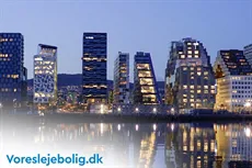 Bolignyhederne