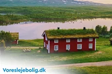 Kolonihavehus
