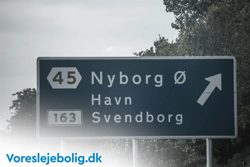 Nyborg: En dag i Danmarks middelalderby