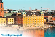 Ny i Danmark