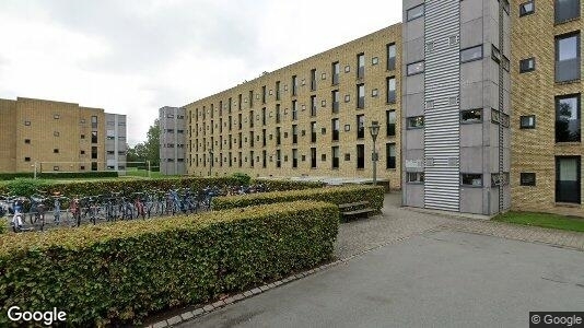 16 m2 værelse i Odense M til leje